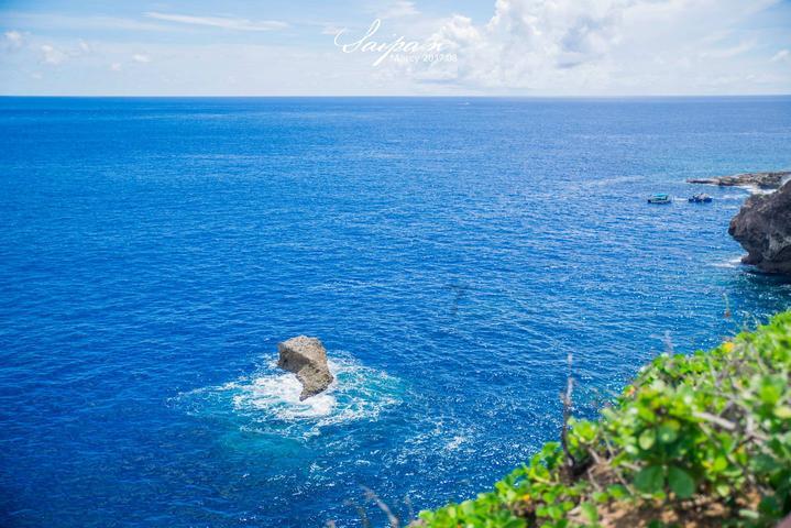 饥饿的松鼠救援